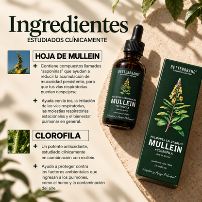Mullein Detox Pulmonar - Apoyo Respiratorio