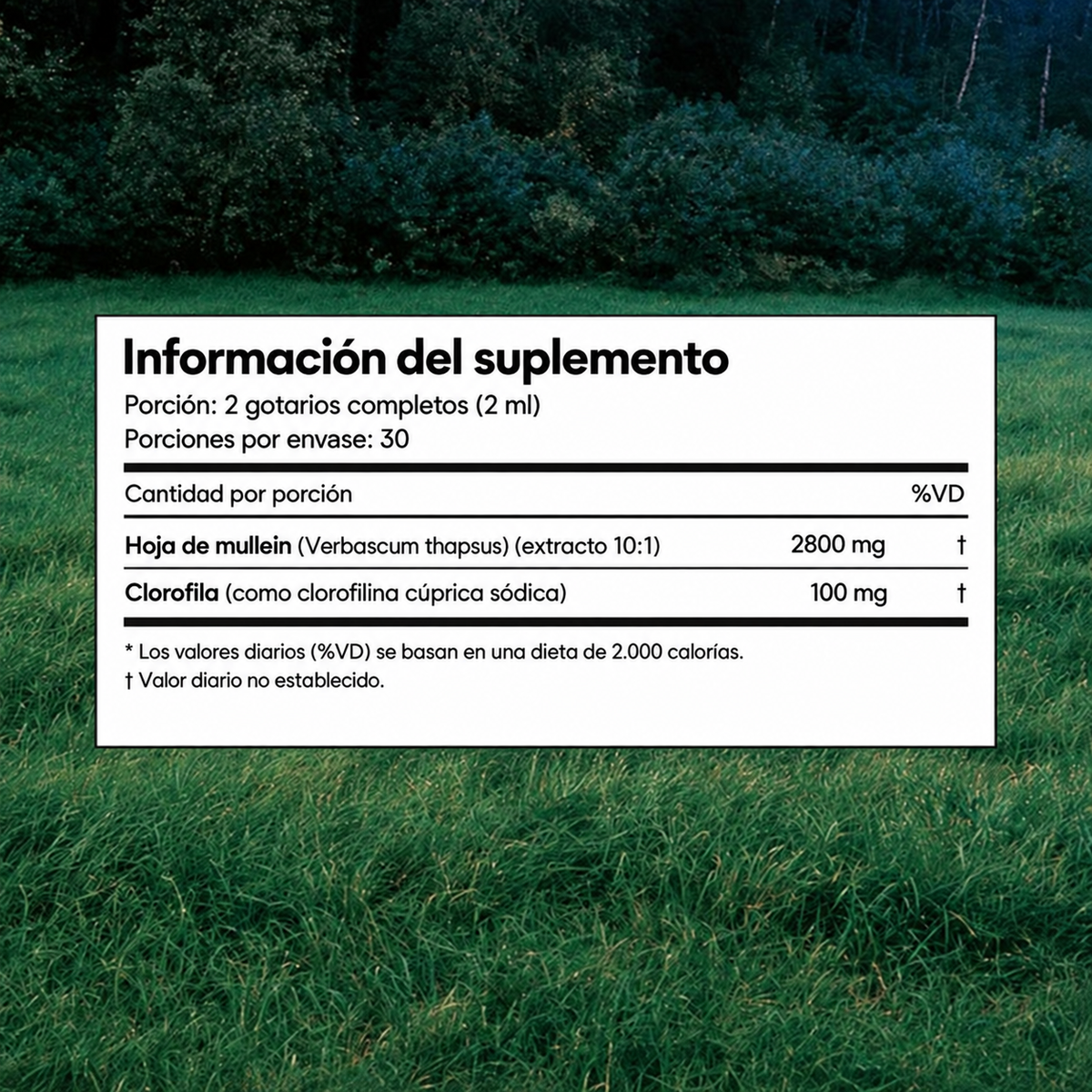 Mullein Detox Pulmonar - Apoyo Respiratorio