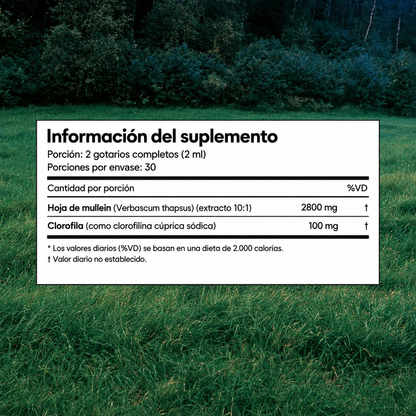 Mullein Detox Pulmonar - Apoyo Respiratorio